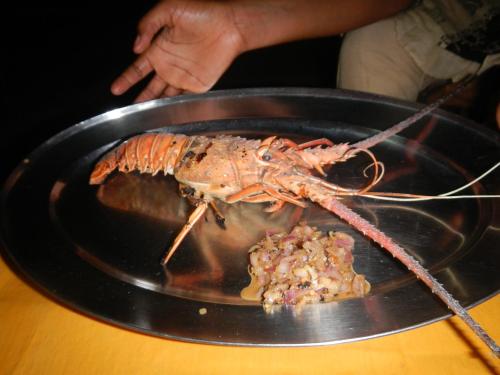 a lobster on a black plate on a table at Kansala Ta Toto in Kafountine