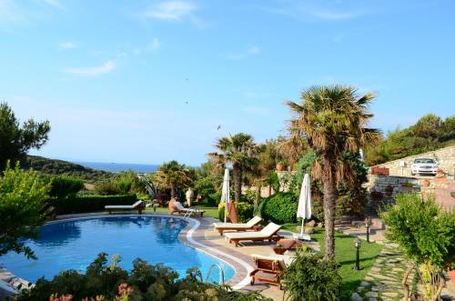a swimming pool with chairs and palm trees in a yard at Ada Bacchus Hotel in Bozcaada