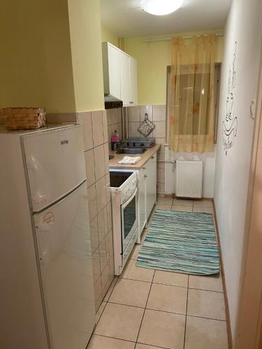 a kitchen with white appliances and a rug on the floor at Martinov dom in Kranjska Gora