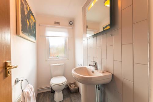 a bathroom with a white toilet and a sink at Woodland Lodge With Hot Tub in Malton