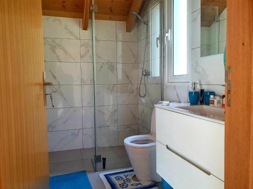 ein Badezimmer mit Toilette, Waschbecken und Dusche in der Unterkunft Zef's chalet in Senhora do Rosário