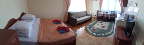 a bedroom with a bed and a tv and a couch at Hercules in Truskavets