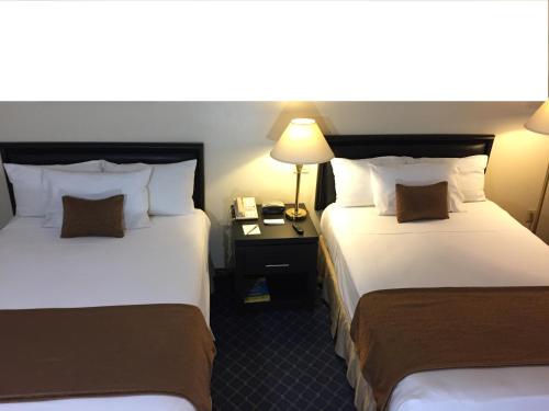 ein Hotelzimmer mit 2 Betten und einem Tisch mit einer Lampe in der Unterkunft Residencial Inn & Suites in La Reforma