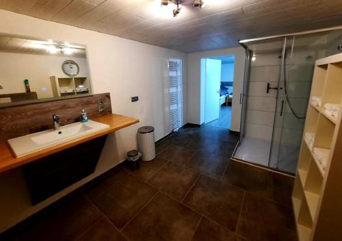 a bathroom with a sink and a shower at Exklusive Naturoase direkt am Ars Natura Wanderweg mit Panoramablick auf Melsungen in Melsungen