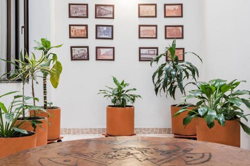 a table with plants inront of a wall at Hotel El Campin in Bogotá