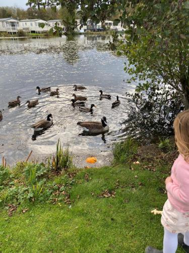 Gallery image of Butterfly Retreat - Dog Friendly in South Cerney
