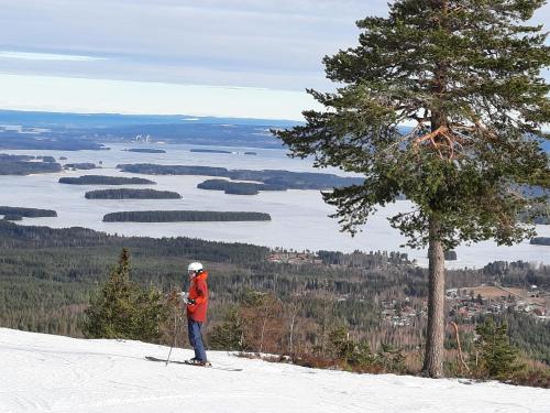 a person on skis standing on top of a mountain at Dalastugan in Mora