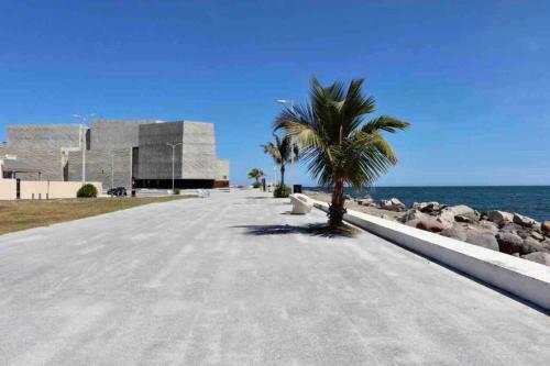 a palm tree in the middle of a road near the ocean at NUEVO Estudio en Playas Vicente Fox. ¡Excelente ubicación! in Boca del Río