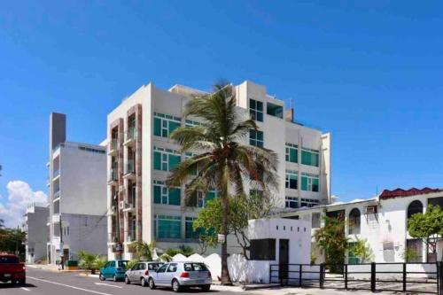a palm tree in front of a large building at NUEVO Estudio en Playas Vicente Fox. ¡Excelente ubicación! in Boca del Río