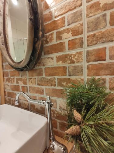 a bathroom with a brick wall and a mirror at Góralskie Domki na Podhalu - z jacuzzi in Maniowy
