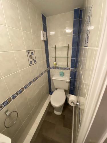 a bathroom with a white toilet and blue tiles at Fairlawns Guest House in Banbury