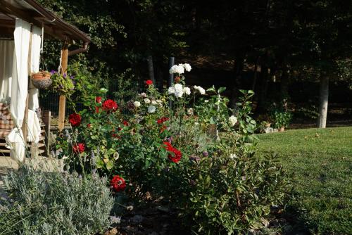 Κήπος έξω από το Casa Camporino