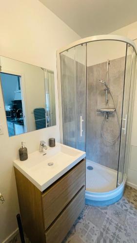 une salle de bain avec douche et lavabo dans l'établissement A la Clef - Charmant studio proche gare et centre - Idéal PRO & Couple - WIFI, au Mans