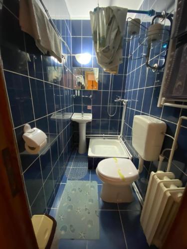 a blue tiled bathroom with a toilet and a sink at Casa Ott in Prisaca Dornei