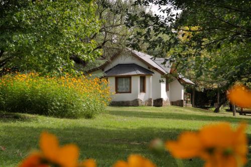 a small house in the middle of a yard at Cabañas Am Bach in Villa General Belgrano