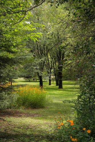 a park with trees and flowers in the grass at Cabañas Am Bach in Villa General Belgrano
