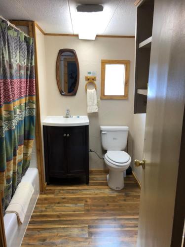a bathroom with a toilet and a sink and a mirror at Riverbend Resort in South Fork