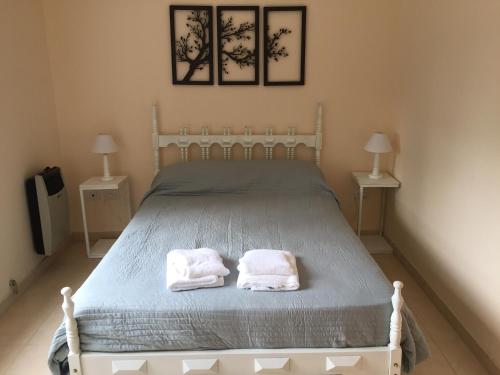El oasis في Saladillo: غرفة نوم عليها سرير وفوط