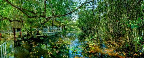 a painting of a swamp with trees and water at GoGo Land Resort & Adventurous Sports in Pūvār
