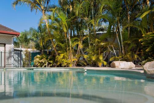 a large swimming pool with palm trees in a yard at Ingenia Holidays Kingscliff in Chinderah