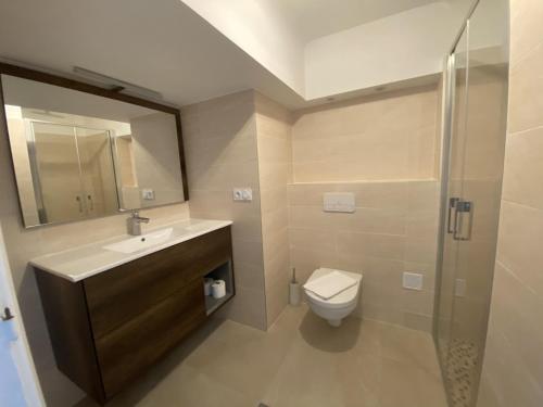 une salle de bain avec un lavabo, des toilettes et une douche dans l'établissement PROMENADE HOLIDAY - OLD TOWN PANORAMIC, à Nice