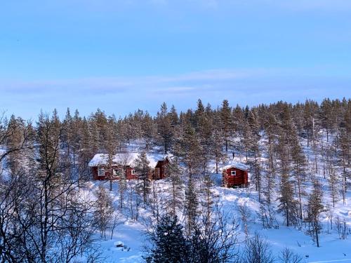 zwei Hütten in einem schneebedeckten Wald mit Bäumen in der Unterkunft Saariselällä, sielukas hirsimökki - Unique cottage in Saariselkä