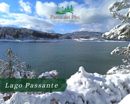 a view of a lake covered in snow at Parco dei Pini - Sila Wellness Hotel in Taverna