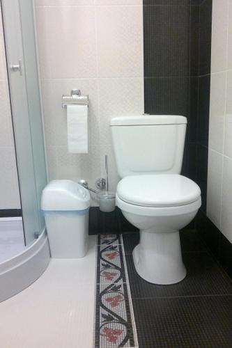 a bathroom with a toilet and a bath tub at "Ранчо" -басейн,тераса, квіти, сад in Uzhhorod