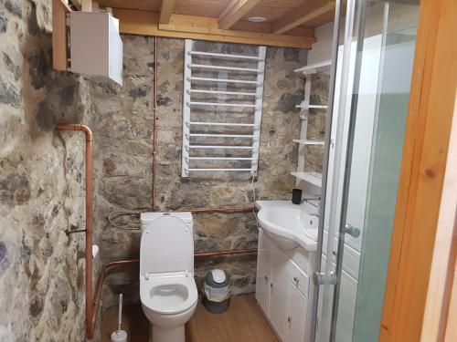 a bathroom with a toilet and a sink at Duplex Swimming Cats in Saint-Hilaire-sur-Helpe