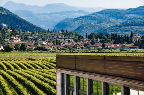 a vineyard with a view of a town and mountains at Dimora Buglioni Wine Relais in San Pietro in Cariano
