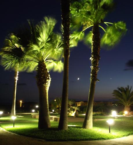 a group of palm trees lit up at night at Borgo della Luna in Birgi Vecchi