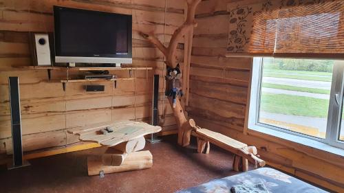 a living room with a tv and a wooden wall at Viesu māja Kaķis krūzē in Folvarcīši