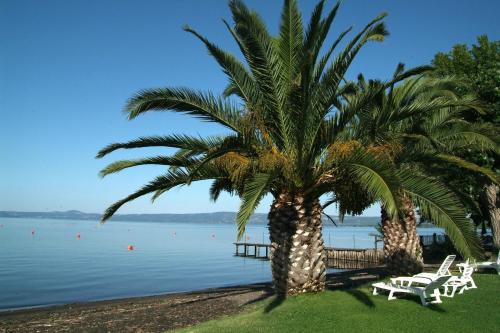 a palm tree sitting next to a body of water at Hotel Eden Sul Lago in Bolsena