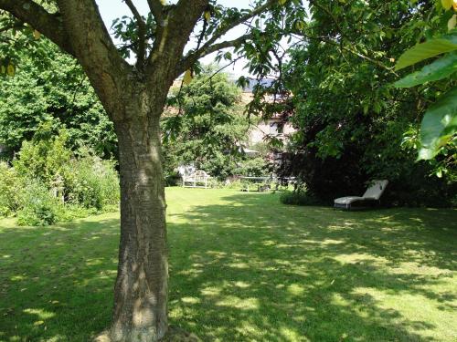 a park with a tree and a bench in the grass at B&B Hedera in Herne