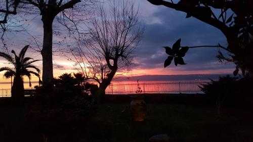 a sunset with a bird flying over a fire hydrant at Hotel Eden Sul Lago in Bolsena