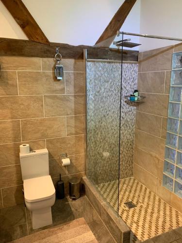 a bathroom with a toilet and a glass shower at Luxury Cottage & Spa in Guildford
