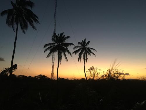 two palm trees in front of a sunset at Hotel Restaurante Los Cocos in Santa Cruz