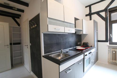 eine Küche mit einer Spüle und einer Arbeitsplatte in der Unterkunft Gästehaus Kronenstraße in Schwetzingen