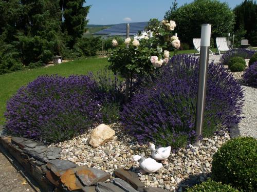 a garden with purple flowers and rocks and a pole at Weingut Bastian in Brauneberg