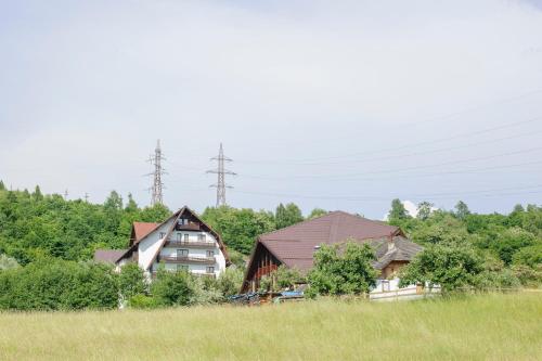 Imagine din galeria proprietății Aqvila Club**** Rucar în Rucăr