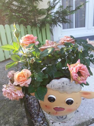 a vase with a plant in it with pink roses at Parkhotel Ruhpolding inklusive Chiemgaukarte in Ruhpolding