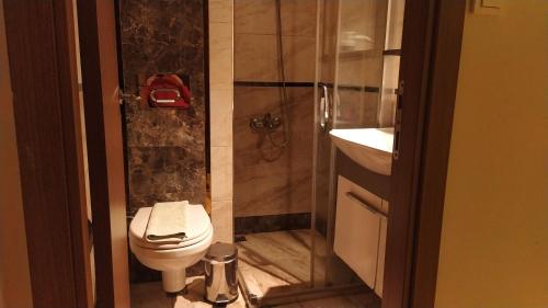 y baño con aseo y ducha. en Hotel Kiwi, en Estambul