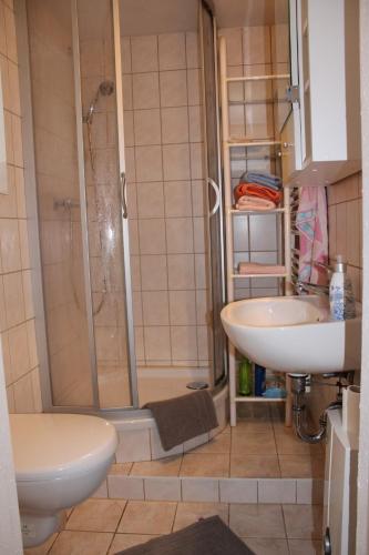 y baño con ducha, lavabo y aseo. en Ferienwohnung am Mühlbach, en Klingenthal