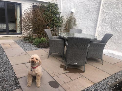 a small dog sitting on a patio with a table and chairs at Beautiful Coastal Cottage in Pittenweem in Pittenweem
