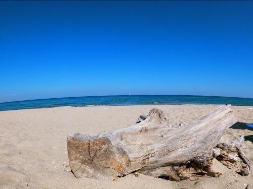 Fotografie z fotogalerie ubytování Weißer Schwan Белият лебед v destinaci Škorpilovci