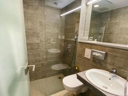 a bathroom with a shower and a toilet and a sink at Meister BÄR HOTEL Frankenwald in Berg