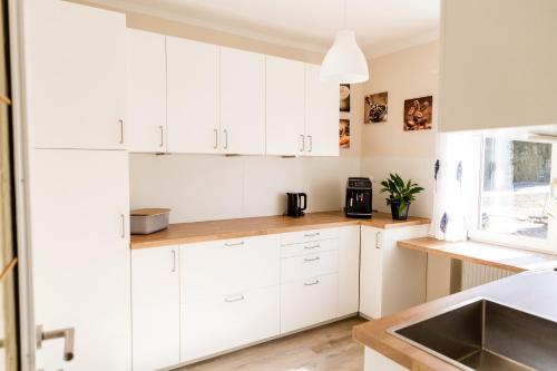 uma cozinha com armários brancos e um lavatório em Villa Forellenweg em Reifnitz