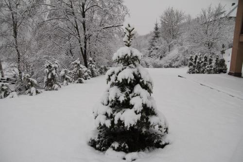 a snow covered christmas tree in a yard at Купецький Двір in Mizhhirʼʼya