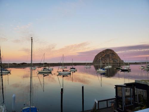 a group of boats are docked in a harbor at Gray's Inn & Gallery in Morro Bay