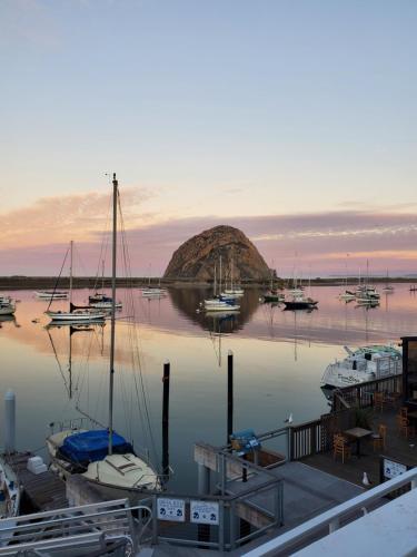 a group of boats are docked in a harbor at Gray's Inn & Gallery in Morro Bay